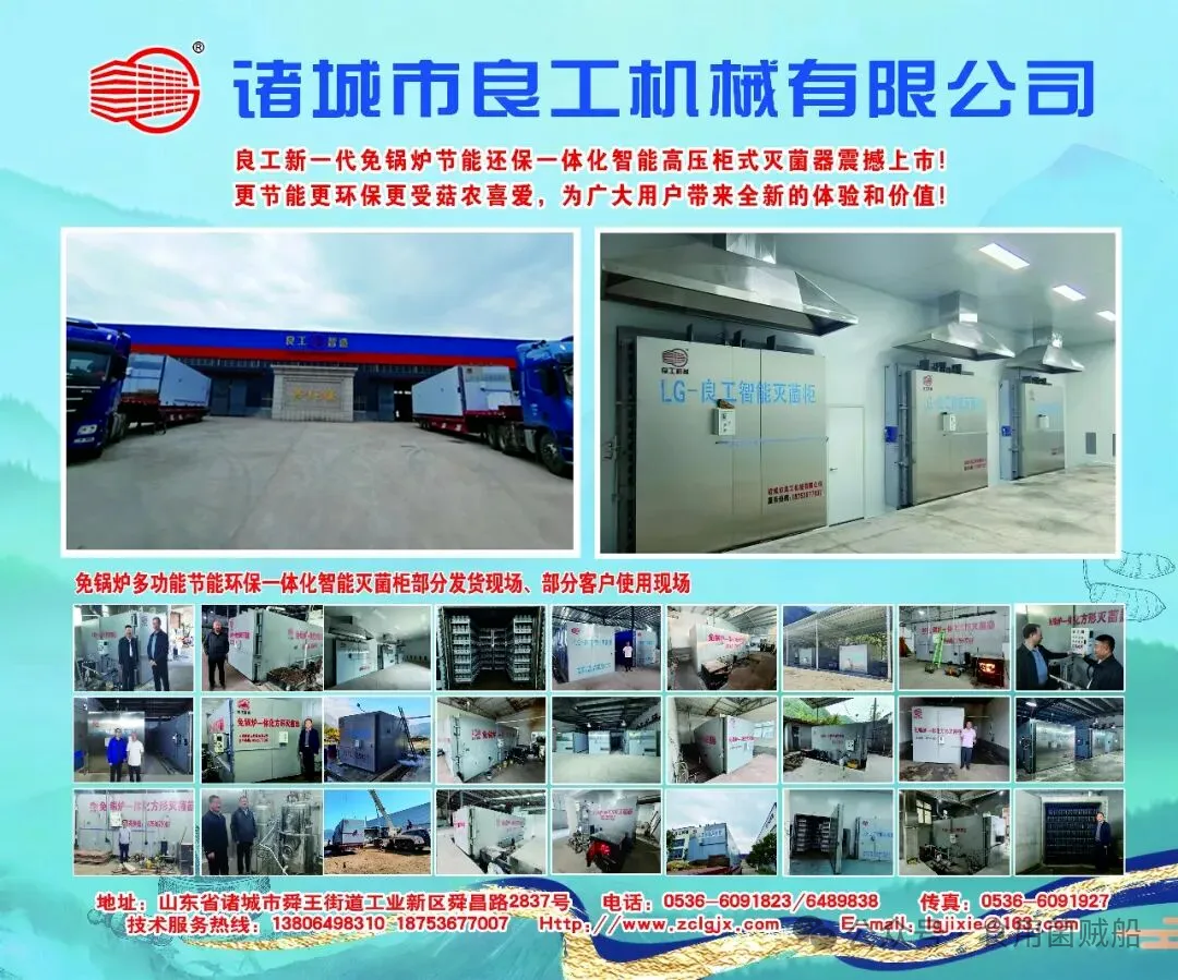640 (2).webp 